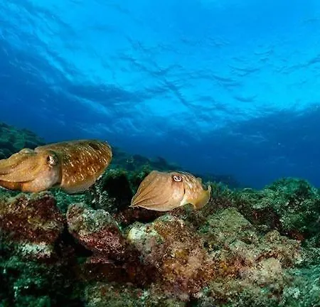 Casa Maya-between The Sea And The Sky *
